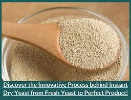 Dry Yeast